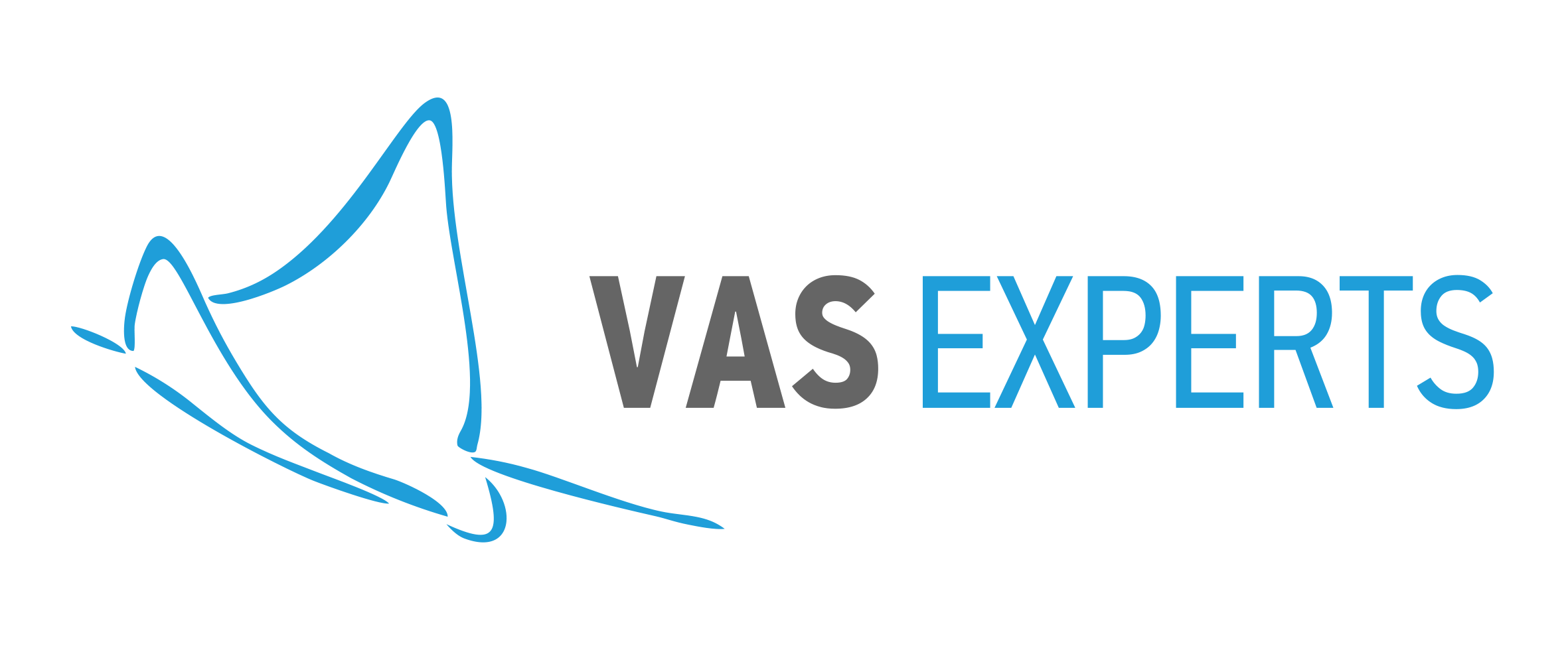 VAS Experts